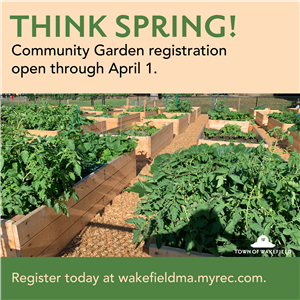 Community Gardens